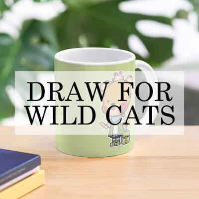 Carousel 'Draw for Wild Cats'