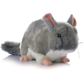 Chinchillas Adorable Grey Stuffed Chinchilla Plush