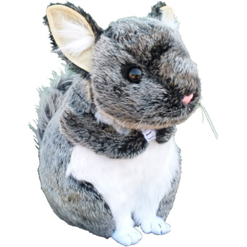 Chinchillas Gizmo The Chinchilla Plush Stuffed Animal