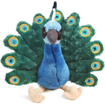 Peacocks Pakhi The Peacock Stuffed Animal